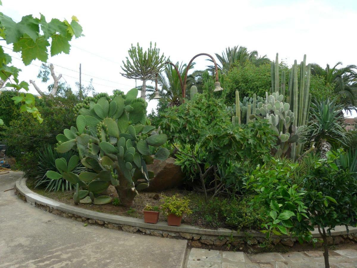 Villa Yucca Avola Bagian luar foto