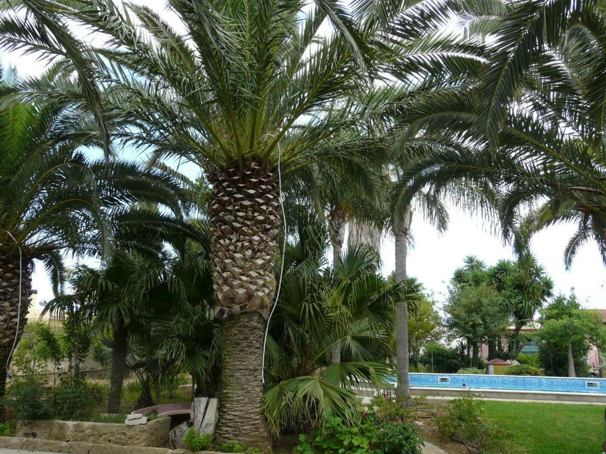Villa Yucca Avola Bagian luar foto