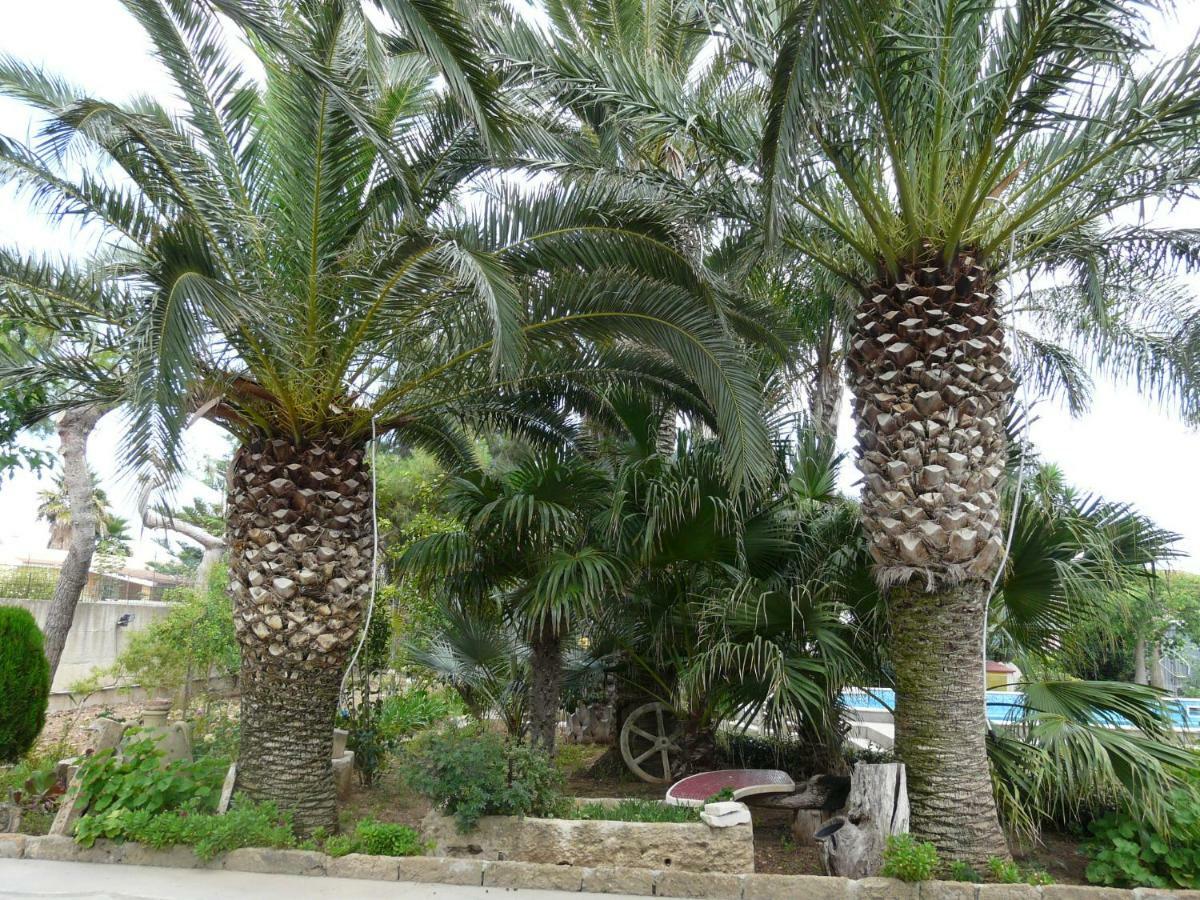 Villa Yucca Avola Bagian luar foto