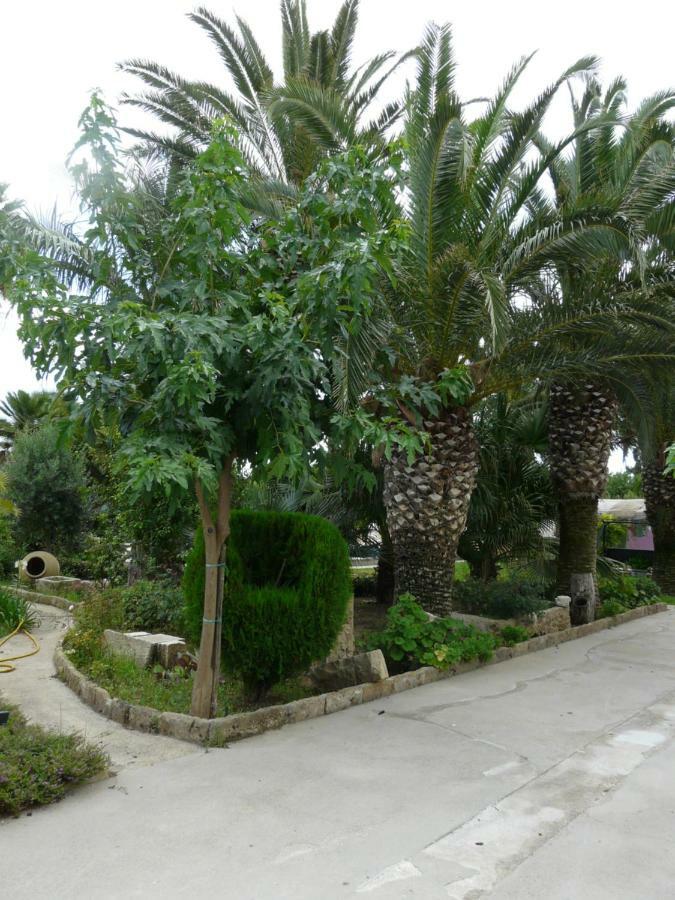 Villa Yucca Avola Bagian luar foto