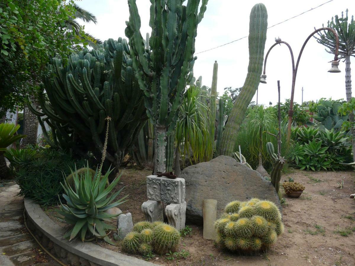 Villa Yucca Avola Bagian luar foto